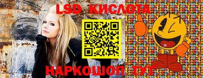 гашик Кинель