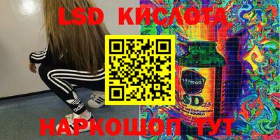 гашик Кинель