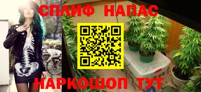 гашик Кинель